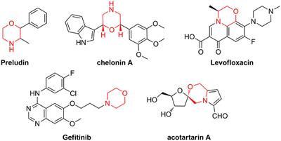 Diversity-Oriented Synthesis and Chemoinformatic Analysis of the Molecular Diversity of sp3-Rich Morpholine Peptidomimetics